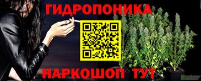 гидропоника Бузулук