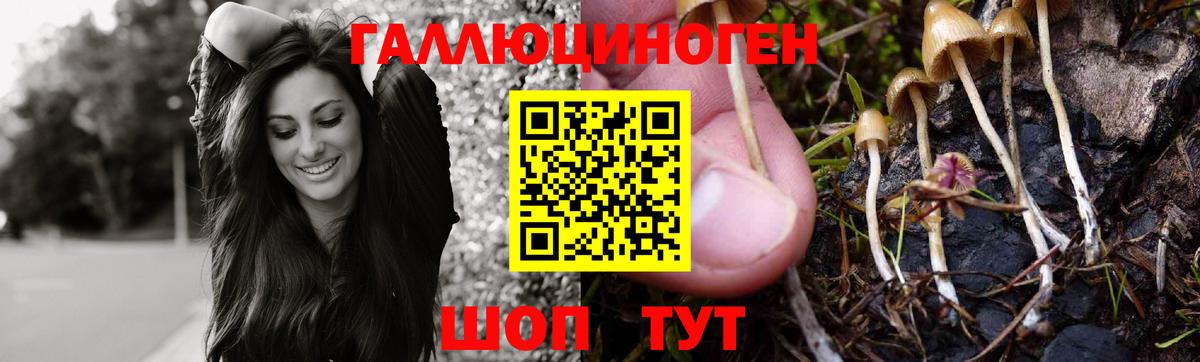 Псилоцибиновые грибы мицелий  Вход с VPN  магазин продажи   Галлюциногенные грибы Psilocybe  Старая Купавна 